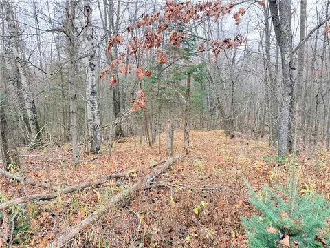 0 Old 14 Rd, Weyerhaeuser, WI 54895 photo 48