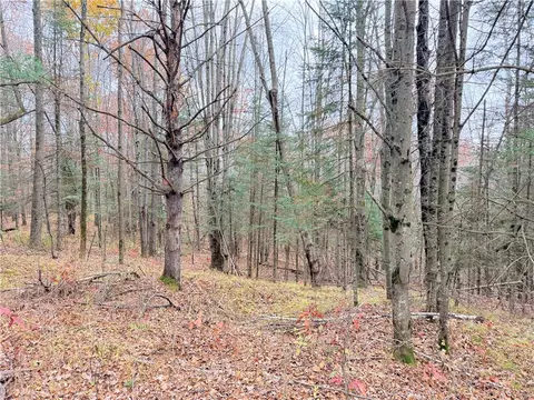 0 Old 14 Rd, Weyerhaeuser, WI 54895 photo 56