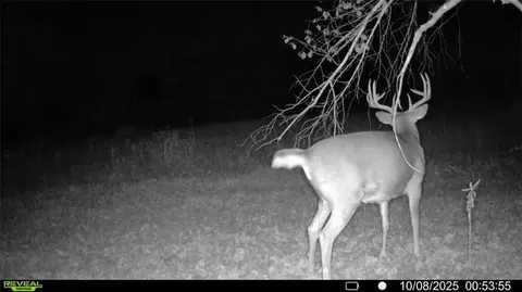 0 Old 14 Rd, Weyerhaeuser, WI 54895 photo 22
