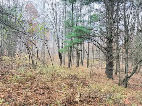 0 Old 14 Rd, Weyerhaeuser, WI 54895 photo 54