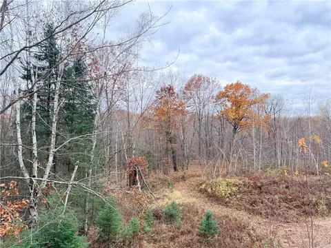0 Old 14 Rd, Weyerhaeuser, WI 54895 photo 21