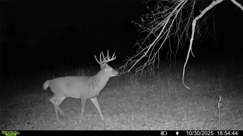 0 Old 14 Rd, Weyerhaeuser, WI 54895 photo 8