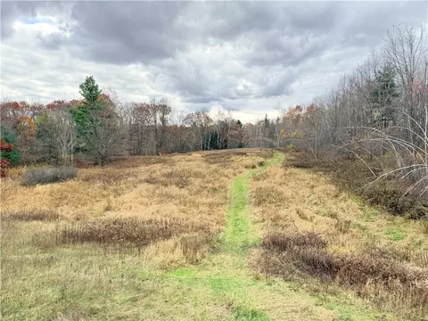 0 Old 14 Rd, Weyerhaeuser, WI 54895 photo 5