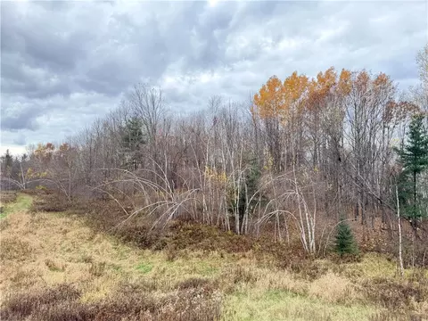 0 Old 14 Rd, Weyerhaeuser, WI 54895 photo 58