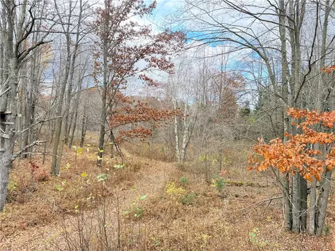 0 Old 14 Rd, Weyerhaeuser, WI 54895 photo 37