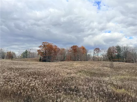 0 Old 14 Rd, Weyerhaeuser, WI 54895 photo 29