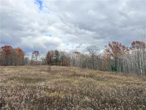 0 Old 14 Rd, Weyerhaeuser, WI 54895 photo 39