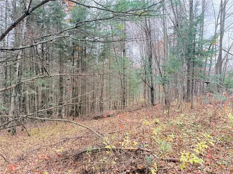 0 Old 14 Rd, Weyerhaeuser, WI 54895 photo 55
