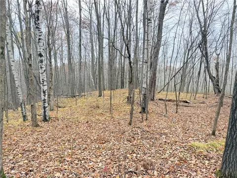 0 Old 14 Rd, Weyerhaeuser, WI 54895 photo 35