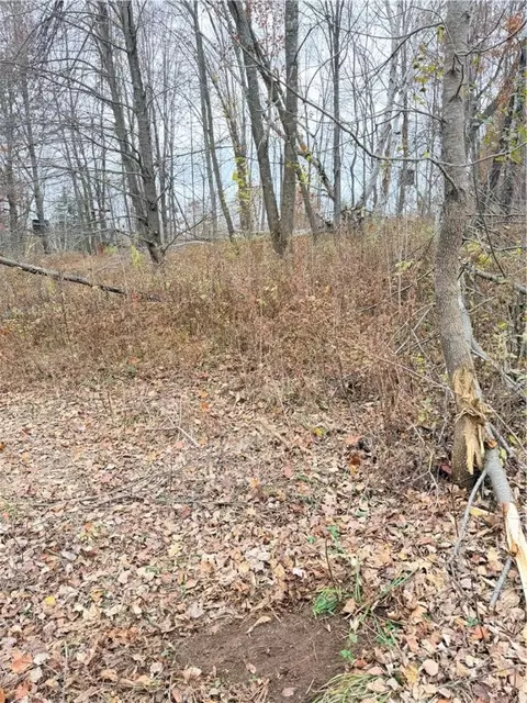 0 Old 14 Rd, Weyerhaeuser, WI 54895 photo 45
