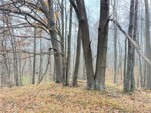 0 Old 14 Rd, Weyerhaeuser, WI 54895 photo 53