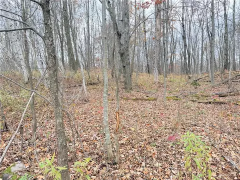 0 Old 14 Rd, Weyerhaeuser, WI 54895 photo 44