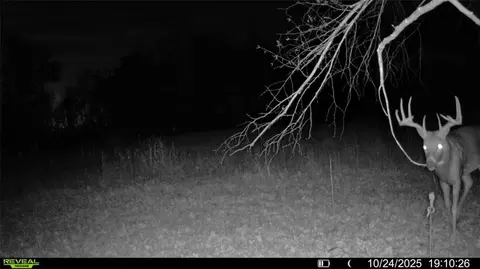0 Old 14 Rd, Weyerhaeuser, WI 54895 photo 14
