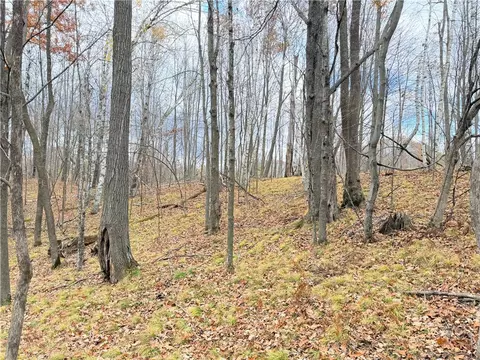 0 Old 14 Rd, Weyerhaeuser, WI 54895 photo 51