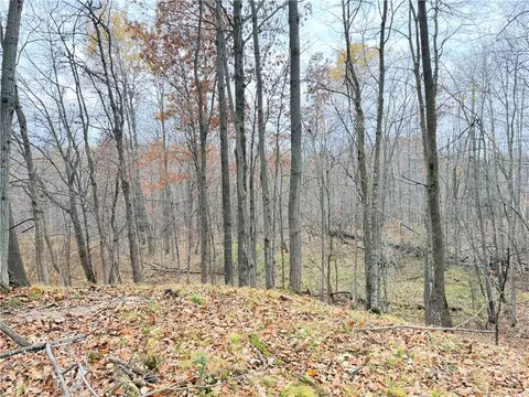 0 Old 14 Rd, Weyerhaeuser, WI 54895 photo 50