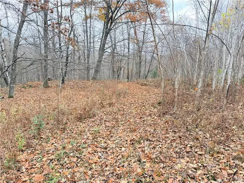 0 Old 14 Rd, Weyerhaeuser, WI 54895 photo 49
