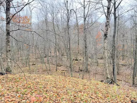 0 Old 14 Rd, Weyerhaeuser, WI 54895 photo 46