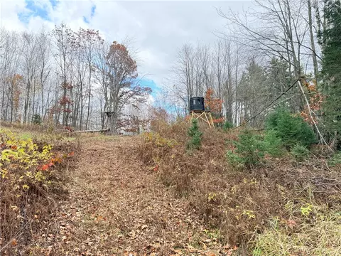 0 Old 14 Rd, Weyerhaeuser, WI 54895 photo 13