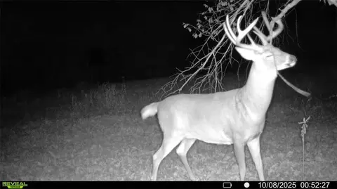 0 Old 14 Rd, Weyerhaeuser, WI 54895 photo 24