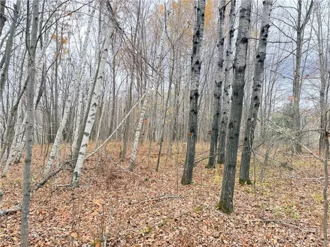 0 Old 14 Rd, Weyerhaeuser, WI 54895 photo 43