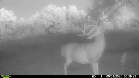 0 Old 14 Rd, Weyerhaeuser, WI 54895 photo 38