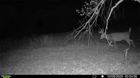 0 Old 14 Rd, Weyerhaeuser, WI 54895 photo 20