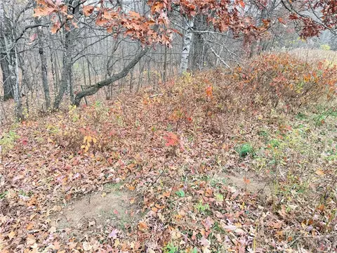 0 Old 14 Rd, Weyerhaeuser, WI 54895 photo 31