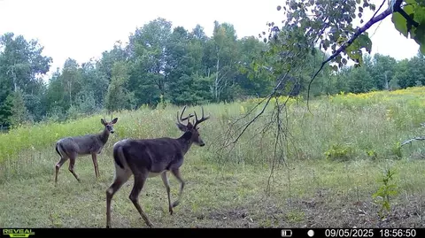 0 Old 14 Rd, Weyerhaeuser, WI 54895 photo 30