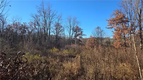 15573 State Hwy 64, Bloomer, WI 54724 photo 13