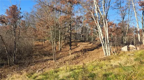 15573 State Hwy 64, Bloomer, WI 54724 photo 6