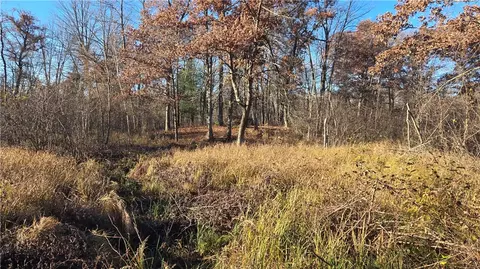15573 State Hwy 64, Bloomer, WI 54724 photo 30