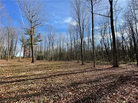 0 Willy Rd, Weyerhaeuser, WI 54895 photo 3