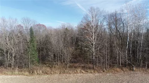 0 Willy Rd, Weyerhaeuser, WI 54895 photo 7