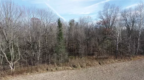 0 Willy Rd, Weyerhaeuser, WI 54895 photo 8
