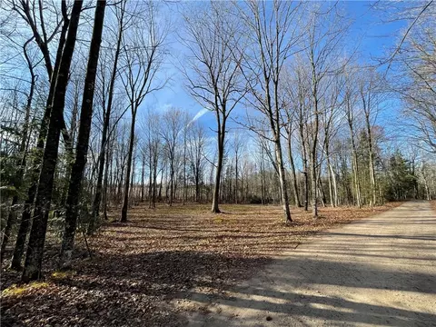 0 Willy Rd, Weyerhaeuser, WI 54895 photo 2