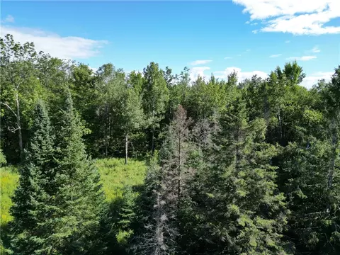 40 Acres Fetke Rd, Bruce, WI 54819