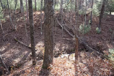 Other - n8724 Lakeside Road, Willard, WI 54493 photo 5 of 10