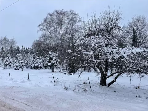20 Acres County Hwy F, Butternut, WI 54514
