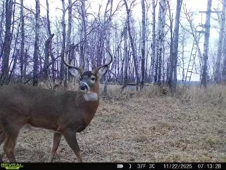 Nnn Old 14 Road, Weyerhaeuser, WI 54895