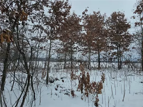 0 County Hwy E #LOT 1, Elk Mound, WI 54739