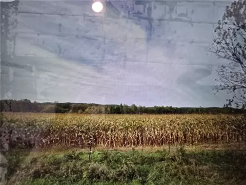 20 Acres 640th Ave, Elk Mound, WI 54739
