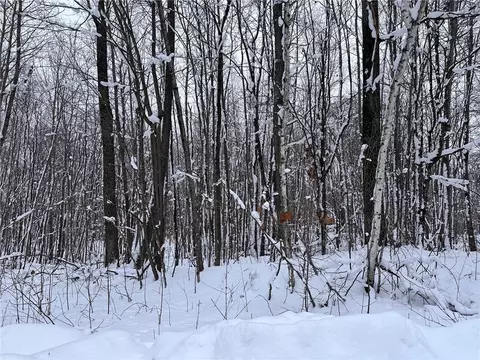 lot46 Holly Lake Ln, Stone Lake, WI 54876