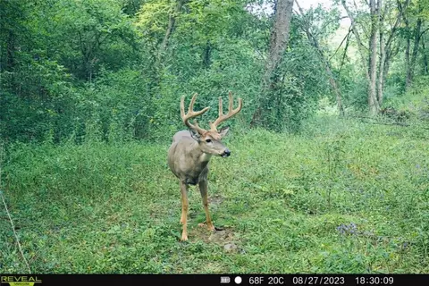 tbd Reck Ln, Whitehall, WI 54773 photo 40