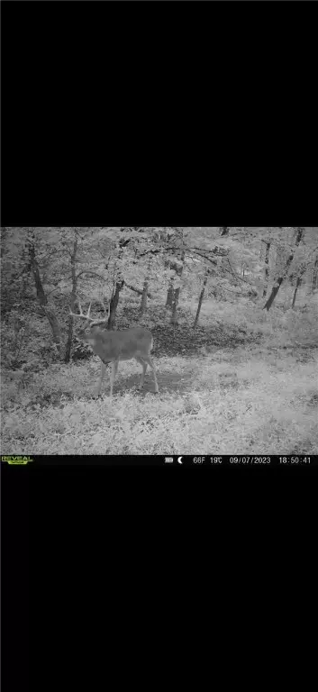 tbd Reck Ln, Whitehall, WI 54773 photo 46