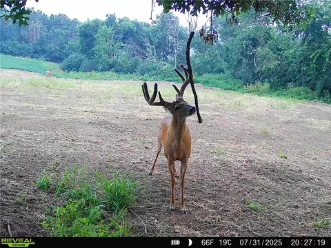 tbd Reck Ln, Whitehall, WI 54773 photo 36