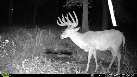 tbd Reck Ln, Whitehall, WI 54773 photo 38