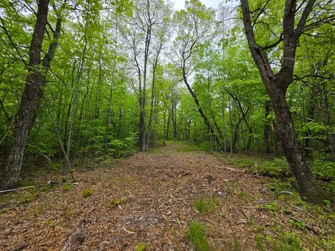 27735 295th Ave, Holcombe, WI 54745