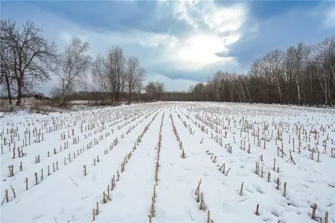 0000 290th St, Cadott, WI 54727