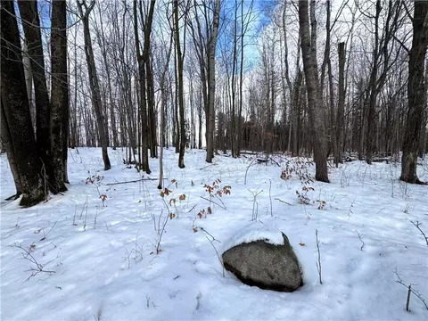 29099 County Road Vv, Sheldon, WI 54766 photo 8