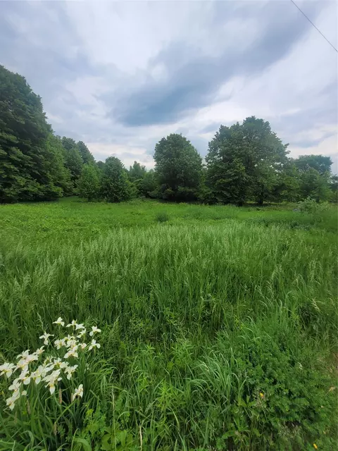 0000 County Hwy B #LOT 4, Neillsville, WI 54456